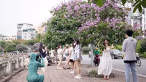 Đâu chỉ một màu hoa