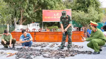 Công an Bạc Liêu thu hồi hàng trăm vũ khí, vật liệu nổ, công cụ hỗ trợ