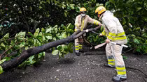 CSGT Hà Nội liên tục tuần tra, dọn dẹp cây đổ trong mưa bão
