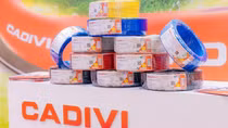 GELEX lãi trước thuế 2.270 tỷ đồng sau 9 tháng