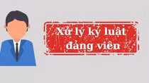 Bộ Chính trị, Ban Bí thư xem xét, thi hành kỷ luật tổ chức đảng, đảng viên