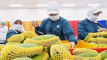 Xây dựng thương hiệu hàng Việt tại thị trường Australia
