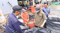 Nhộn nhịp chợ cá vùng biên