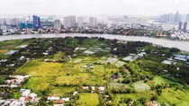 Khai thác hiệu quả quỹ đất nông nghiệp ở TP Hồ Chí Minh