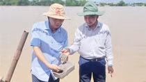 Sóc Trăng khảo sát mỏ cát sông phục vụ cao tốc