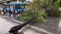 Bão Yagi mạnh cấp 14, miền Bắc mưa rất to kèm gió giật