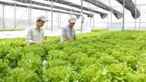 Bài cuối: Nhận diện sớm nguy cơ “ngoại biên chính sách”