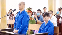 Xem xét trách nhiệm cán bộ ngân hàng trong vụ lừa đảo 600 tỷ đồng ở Agibasa An Giang