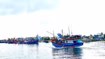 Ứng phó với bão số 6: Quản lý chặt việc ra khơi, giữ liên lạc với các tàu thuyền