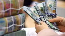 Áp lực tăng tỷ giá trong ngắn hạn