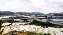 Chây ỳ nộp tiền thuê đất ở Khu nông nghiệp công nghệ cao Ấp Lát