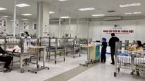 Uống thuốc cam chữa động kinh, bé gái 9 tuổi mất não vì ngộ độc chì