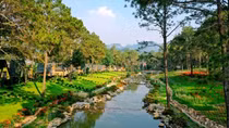 Phoenix Mộc Châu Resort: Tuyệt tác ẩn mình giữa núi rừng Tây Bắc