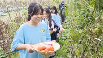 Du lịch chuyển đổi xanh để phát triển bền vững