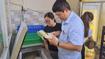 Du khách bị ngộ độc thực phẩm nghi do ăn hải sản tại Phan Thiết