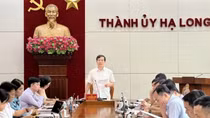 Vì sao Giám đốc ban Quản lý dự án công trình Hạ Long bị đình chỉ công tác?