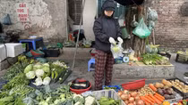 Giá đỗ không nguồn gốc, xuất xứ vẫn bán tràn lan trên thị trường