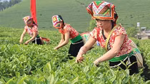 Không để các hộ gia đình người dân tộc thiểu số thiếu đất ở, đất sản xuất