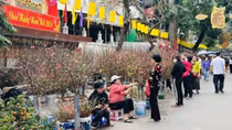 Ngập tràn sắc xuân chợ hoa Hàng Lược dịp cuối năm