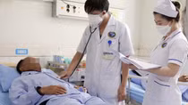 Ăn cá nóc, 3 ngư dân nguy kịch