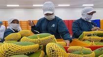 FTA tiếp tục là “đòn bẩy” cho xuất khẩu trong năm 2024