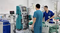 Bé gái 13 tuổi nguy hiểm tính mạng khi bị ong mật đốt