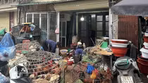 Kinh doanh, giết mổ gia cầm trái phép phớt lờ dịch bệnh