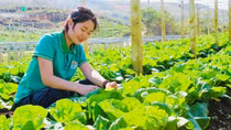 Nậm Pồ khởi sắc với những chính sách phát triển kinh tế vùng đồng bào dân tộc thiểu số và miền núi