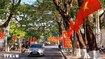 Chỉ thị của Ban Bí thư về việc tổ chức Tết Ất Tỵ năm 2025