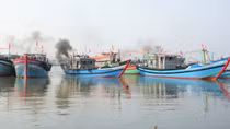 Ngư dân phấn khởi với “lộc biển” đầu xuân