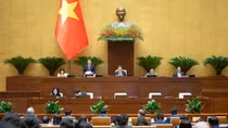 Thông qua Luật Điện lực (sửa đổi), minh bạch trong quản lý điện năng lượng tái tạo