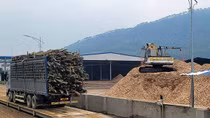 Bất nhất trong xử lý các cơ sở băm dăm trái phép tại Hà Tĩnh
