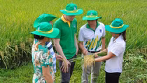 Nghiên cứu, xem xét sửa đổi Luật thuế 71