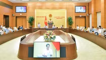 Giá vé máy bay còn tăng nữa không, vàng bao giờ hết "nhảy múa"?