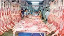 Chủ động không để thiếu hụt nguồn cung thịt lợn trong dịp Tết