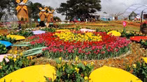 Nhiều chương trình đặc sắc Festival Hoa Đà Lạt lần thứ X