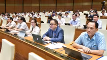 Ngăn chặn hành vi mua bán người từ khi còn là bào thai trong bụng mẹ