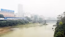 Hồng tươi xuân biên cương