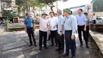 Năm 2025, Hà Nội cải tạo, xây dựng lại 1-2 khu chung cư cũ