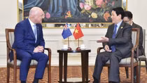 Việt Nam mong muốn phát triển quan hệ Đối tác chiến lược với New Zealand