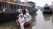 Bé trai chào đời ngay trên tàu từ đảo vào đất liền