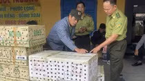 Giải cứu gần 1.000 cá thể chim chào mào ở bến xe