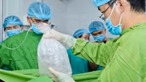 Hành trình tiếp nối sự sống