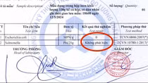 Không phát hiện vi khuẩn gây ngộ độc trong thức ăn tại nhà hàng Hồng Vinh, Phan Thiết
