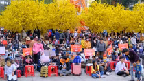 Chuyến xe mùa xuân mang sinh viên về quê đón Tết
