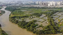 Cân nhắc khi giao dự án cho doanh nghiệp không đầu tư xây dựng
