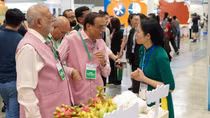 Việt Nam vào nhóm 10 quốc gia có tốc độ tăng trưởng thương mại điện tử hàng đầu thế giới