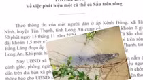Phát cảnh báo vụ cá sấu xuất hiện trên sông Bằng Lăng