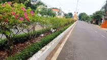 Bộ Công an yêu cầu tỉnh Phú Yên cung cấp tài liệu 30 dự án trồng cây xanh