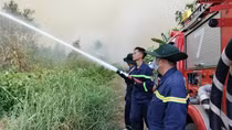Không để cháy lan, cháy lớn tại khu vực Nông trường 402